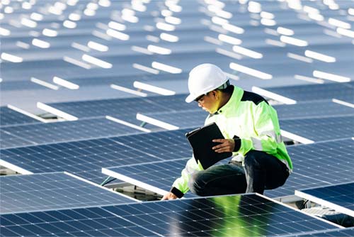A man surveying solar panels